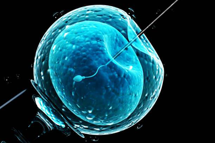 IVF, new hope for child